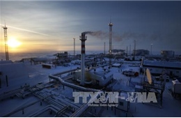 Nga vượt Saudi Arabia, dẫn đầu thế giới về khai thác dầu mỏ